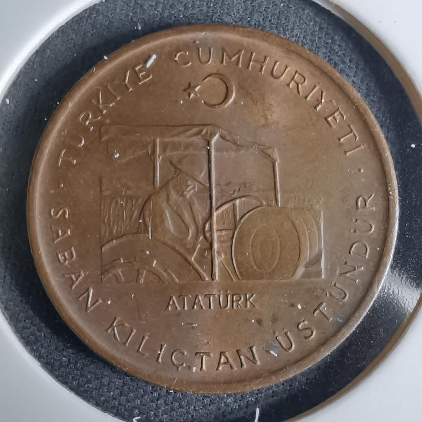 沼泽如烟--第1042场