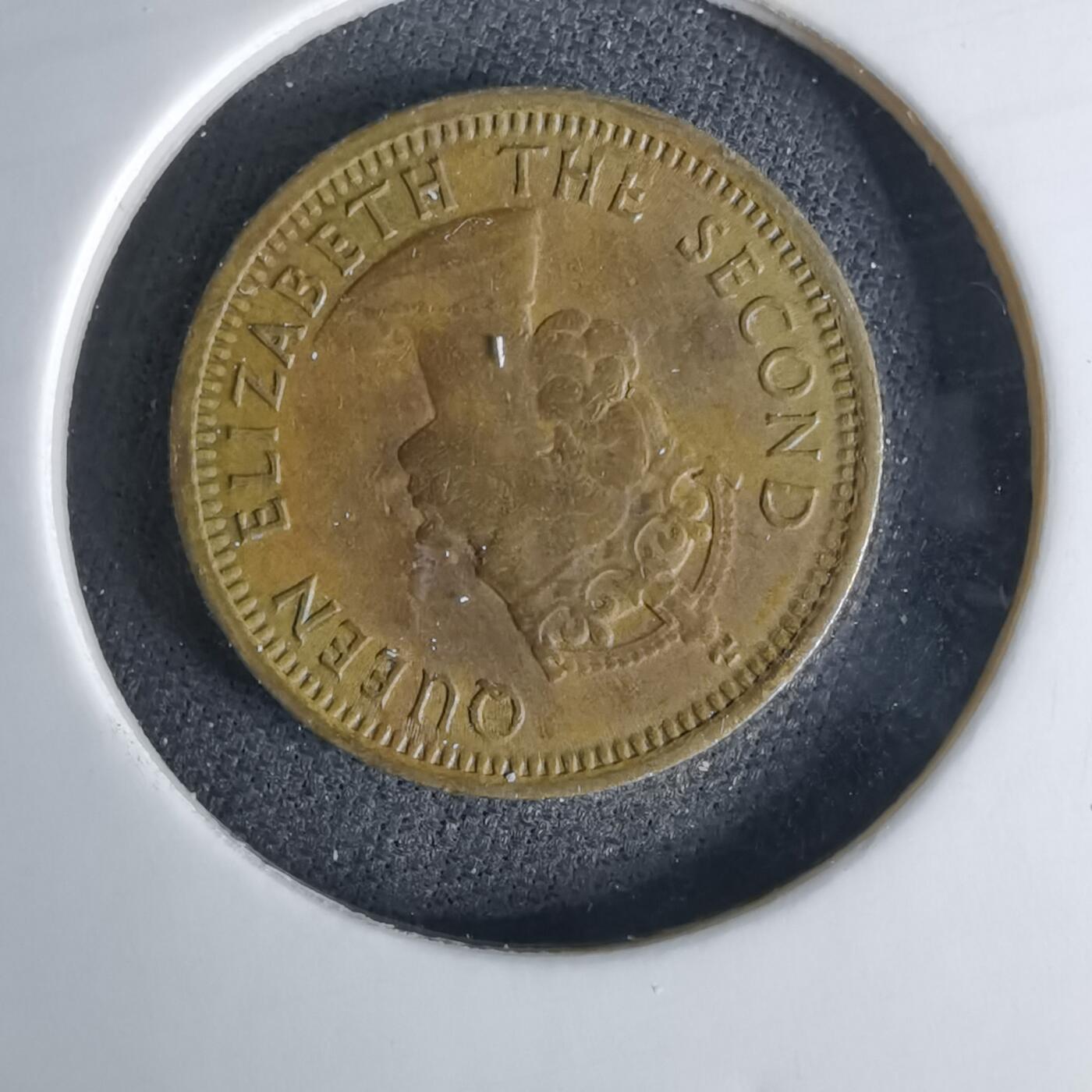 沼泽如烟--第1042场