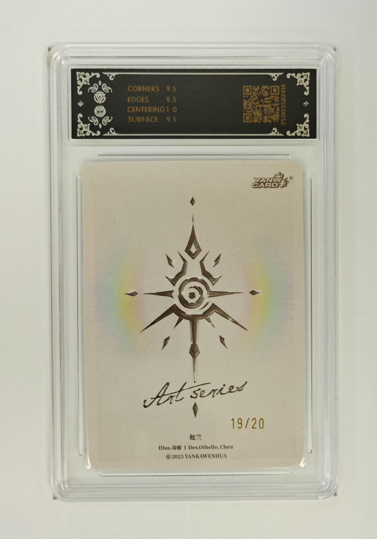 大麦马年第一场