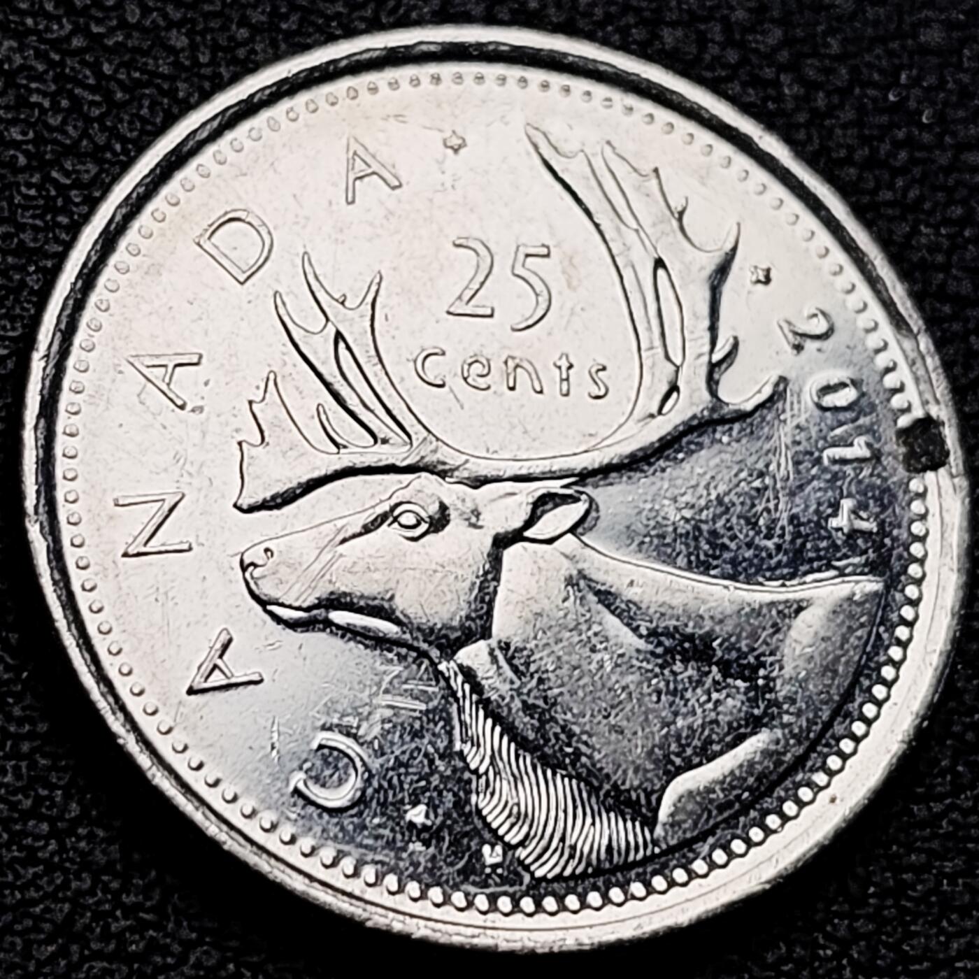 泉币菌-第219场-拍品多 请提前出价 。