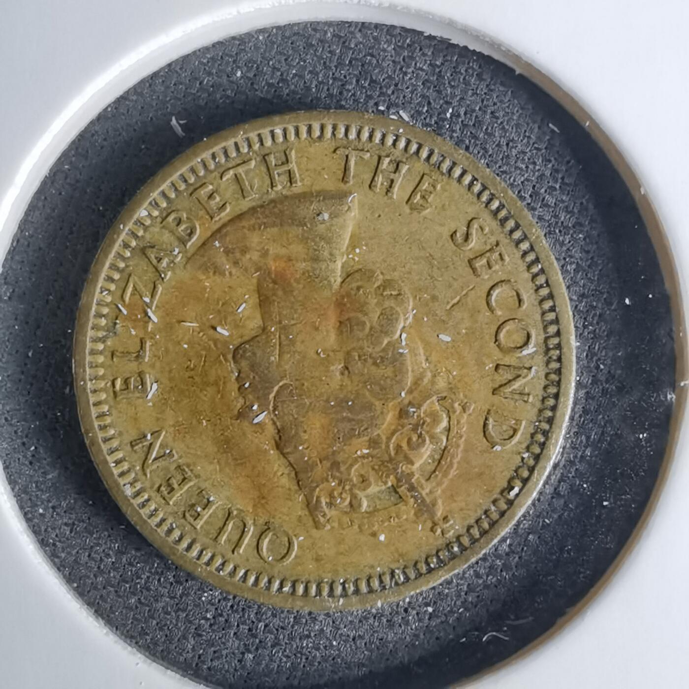 沼泽如烟--第1042场 香港1960年五仙