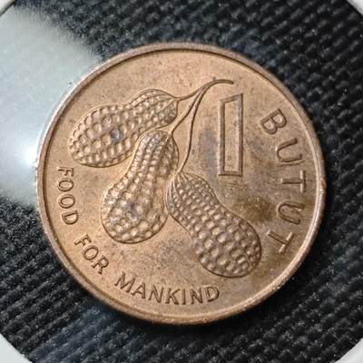 KK钱币收藏小铺  第415期 2月预留时间 周末发货 1974冈比亚1分铜币