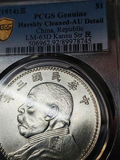 PCAU92甘肃刺猬头 - PCAU92甘肃刺猬头