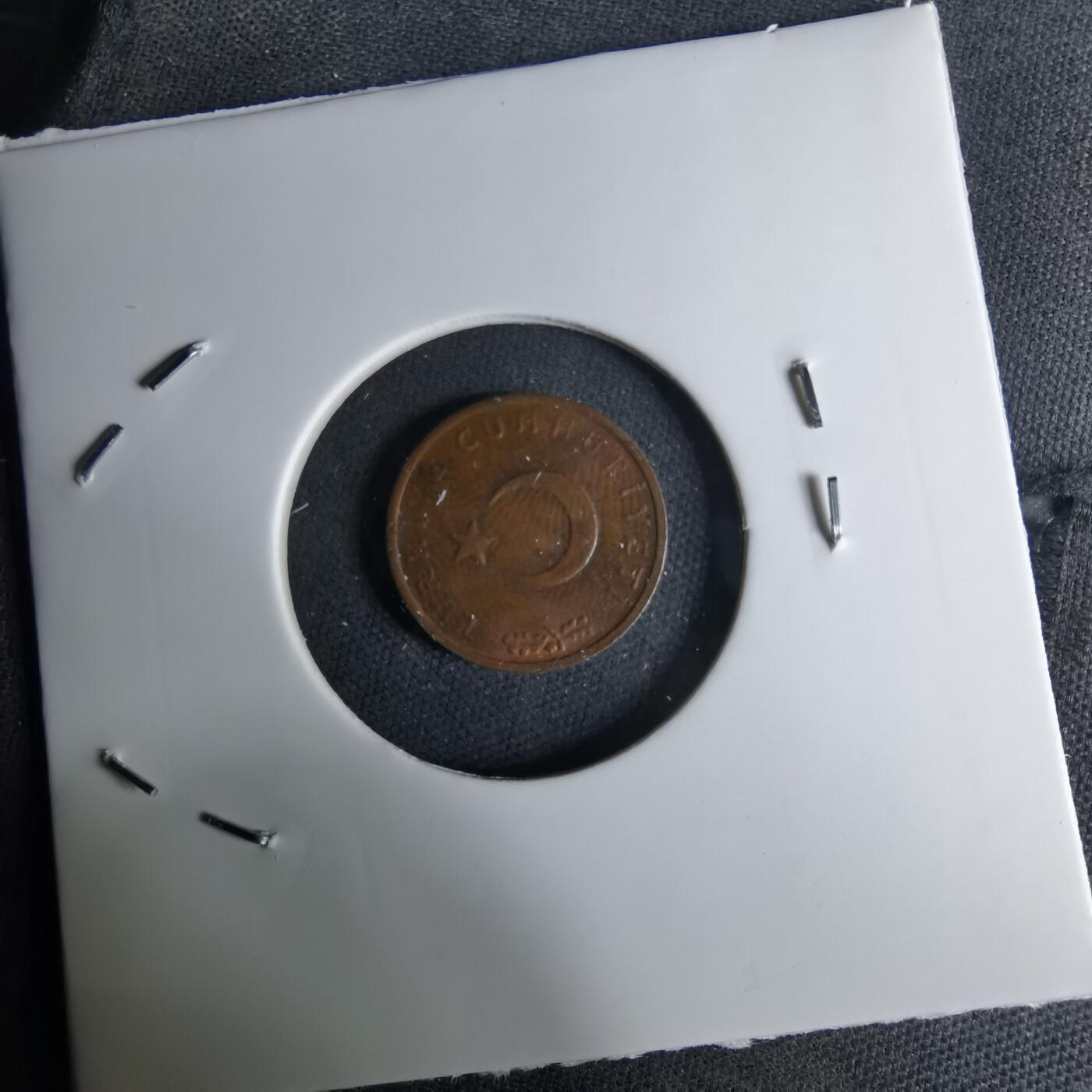 沼泽如烟--第1042场