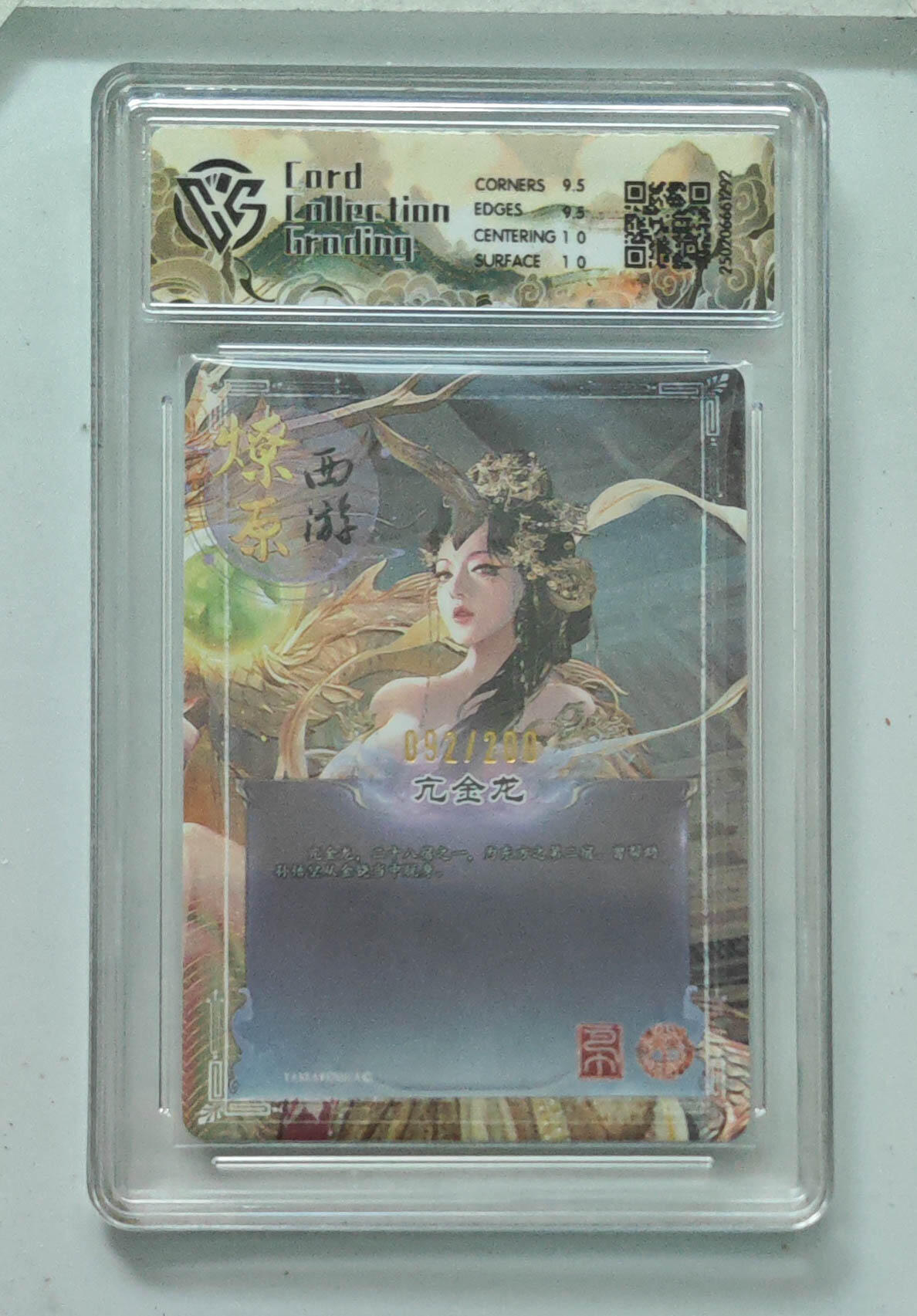 大麦马年第一场