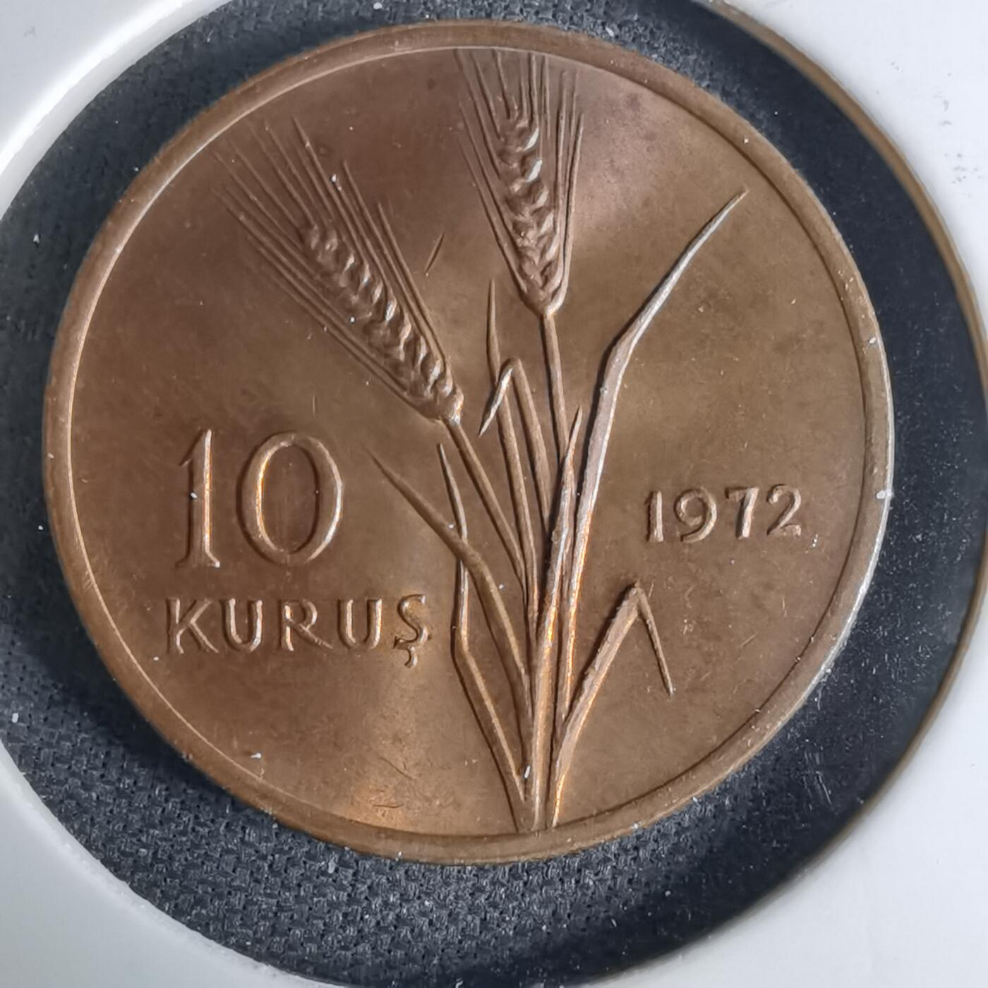 沼泽如烟--第1042场