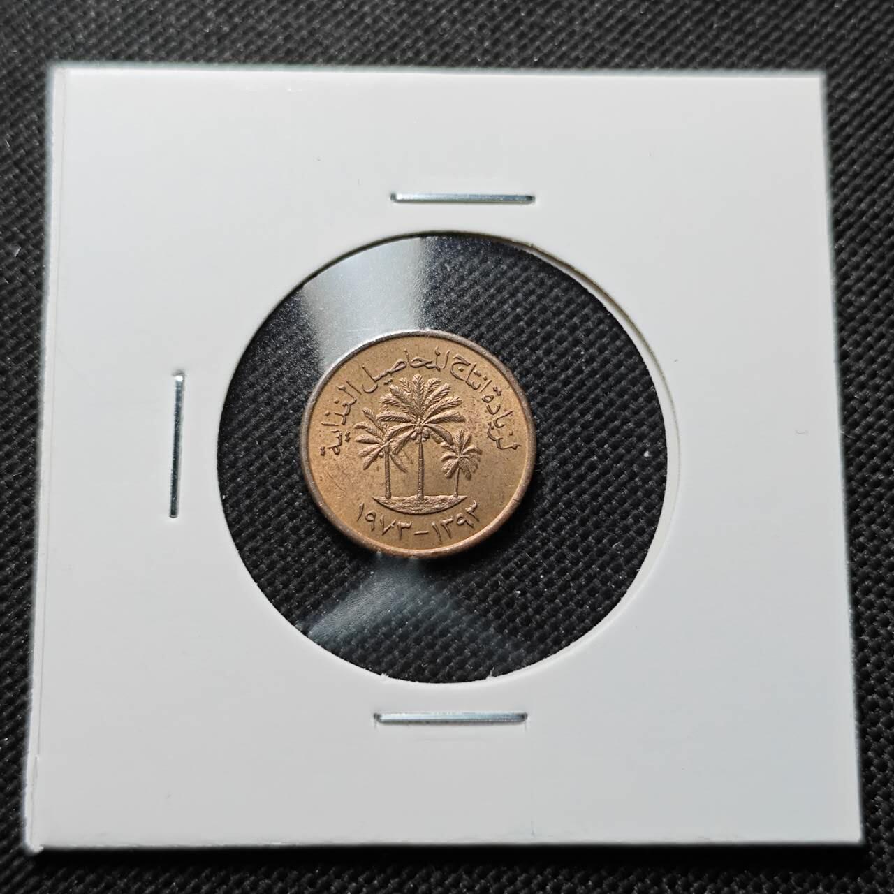 KK钱币收藏小铺  第414期 2月预留时间 周末发货 阿联酋1费尔 好品