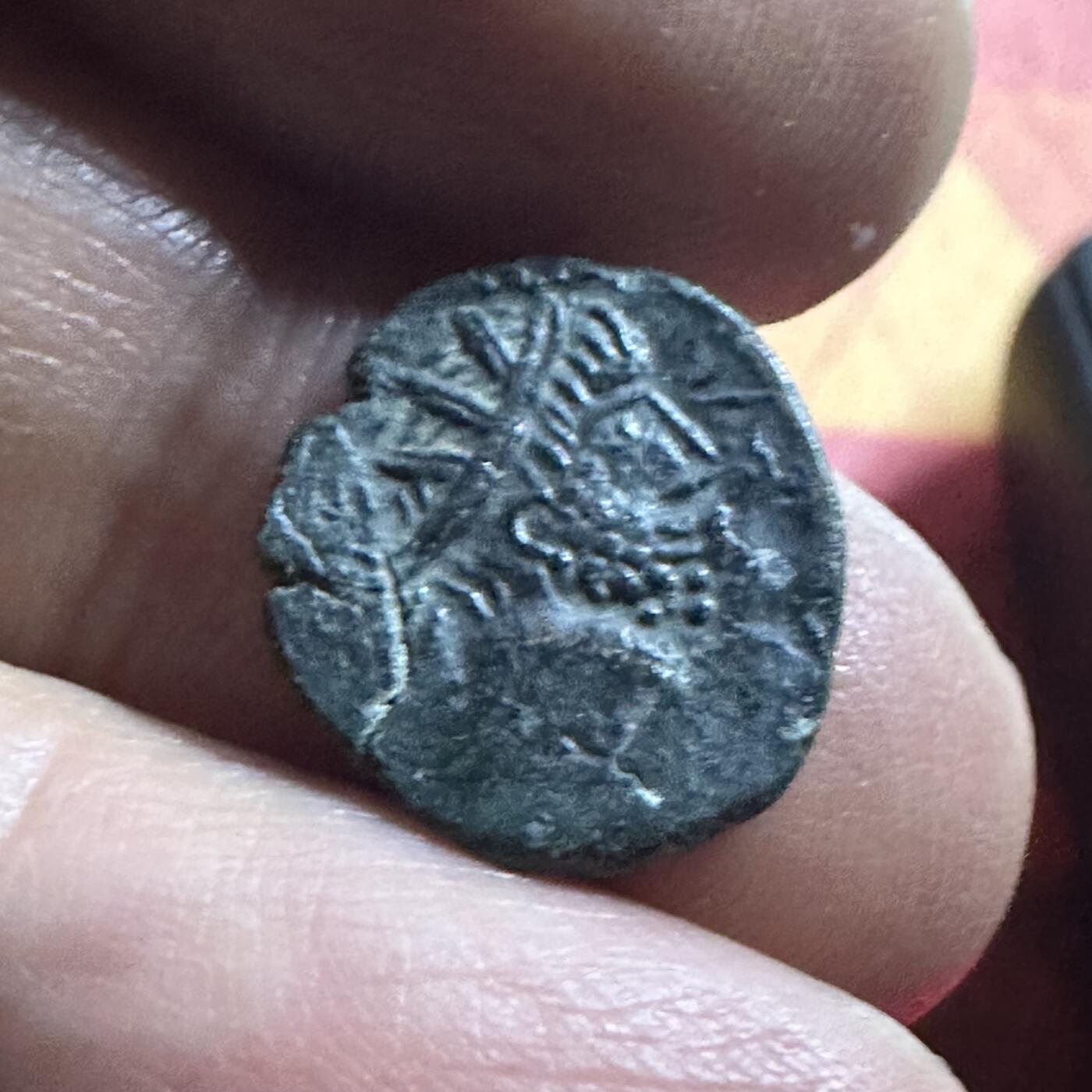 🌹外币初藏🌹🐯2026年第36场   每周二四六晚8️⃣点 接代拍 古罗马打制币