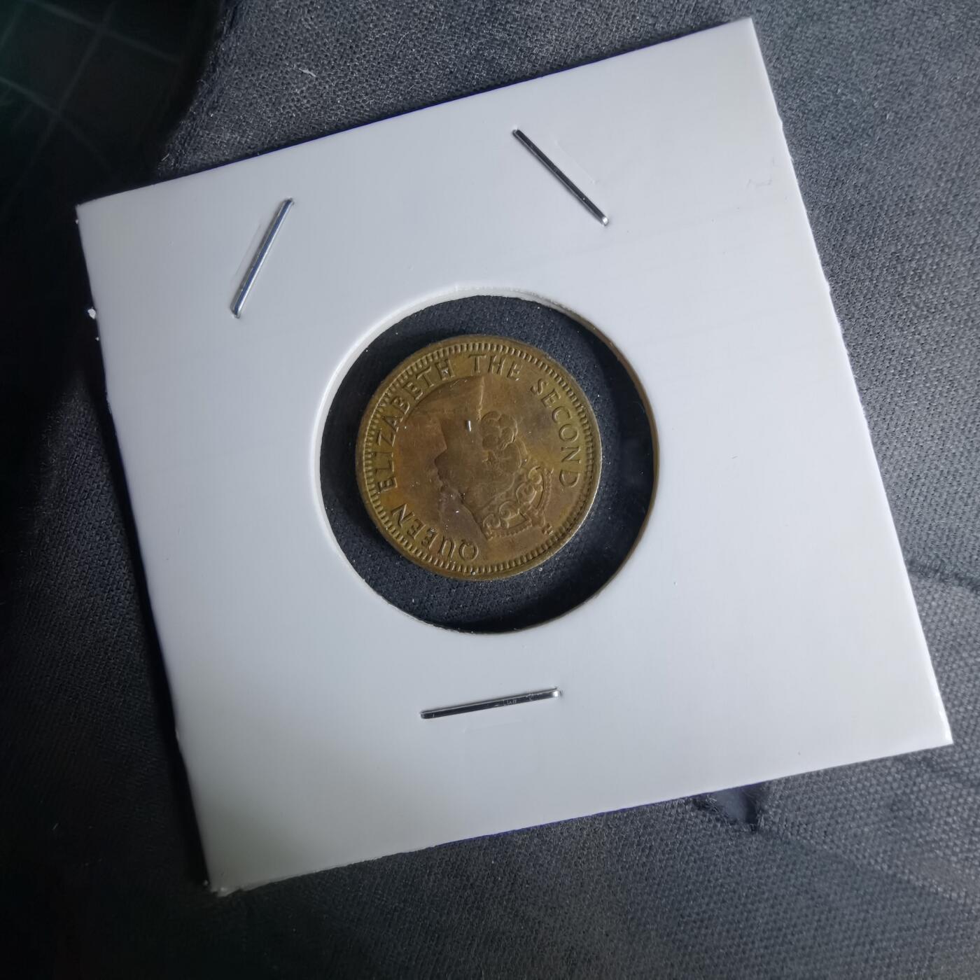 沼泽如烟--第1042场