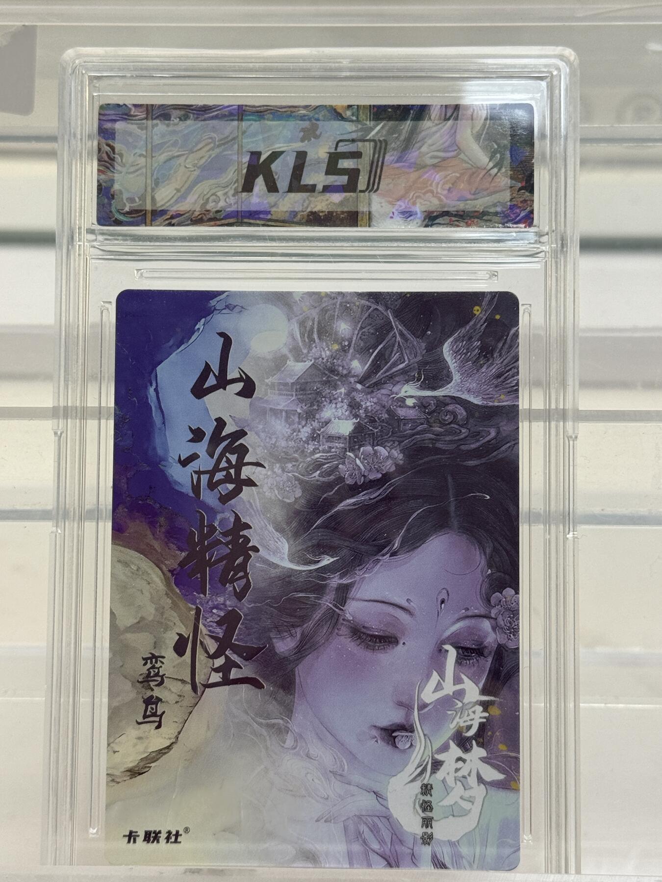 大麦马年第一场