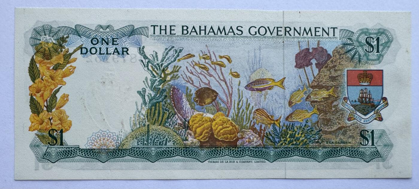 2026第6场（总第233期）：精品测试钞、外钞综合场 