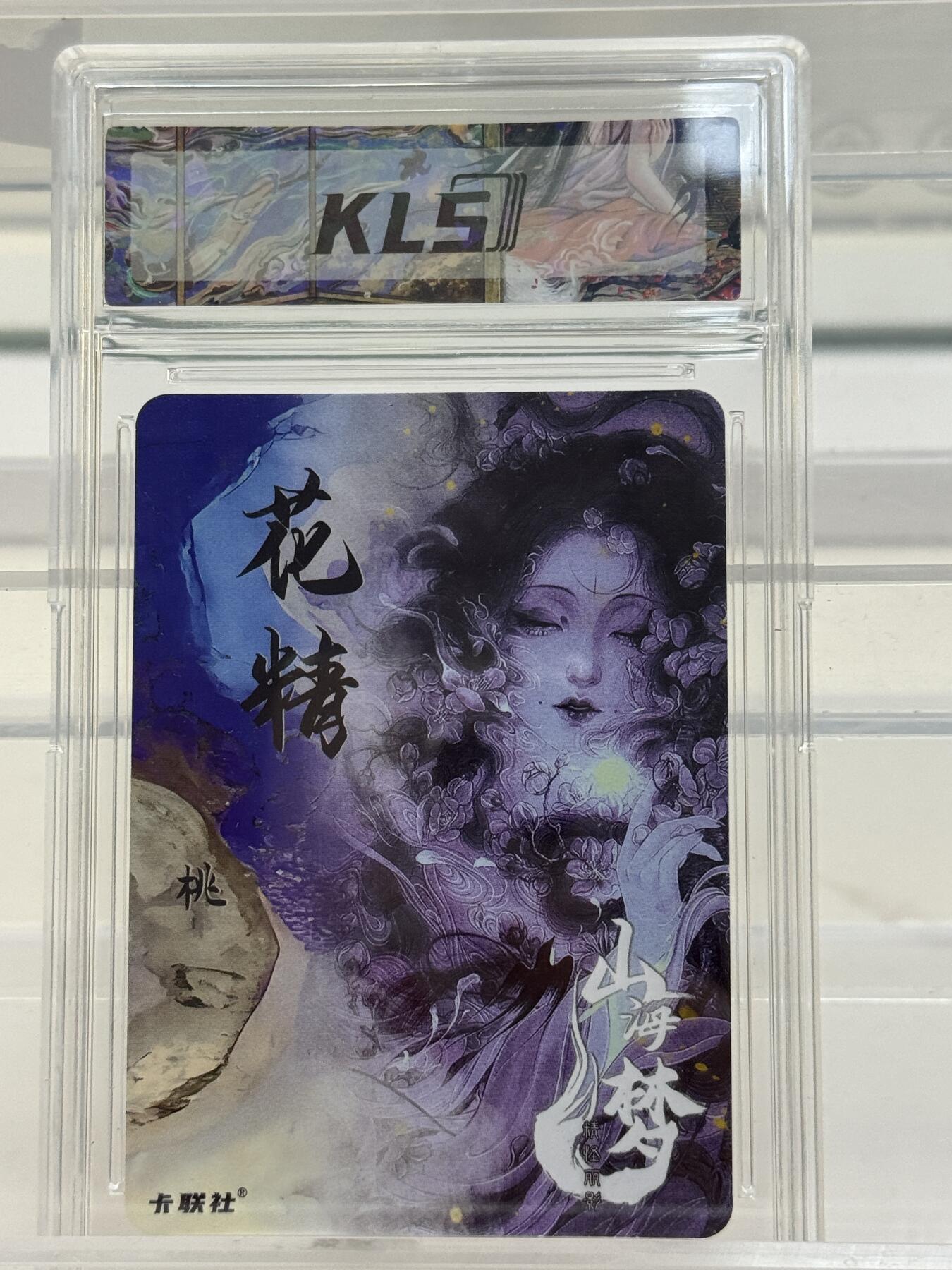 大麦马年第一场