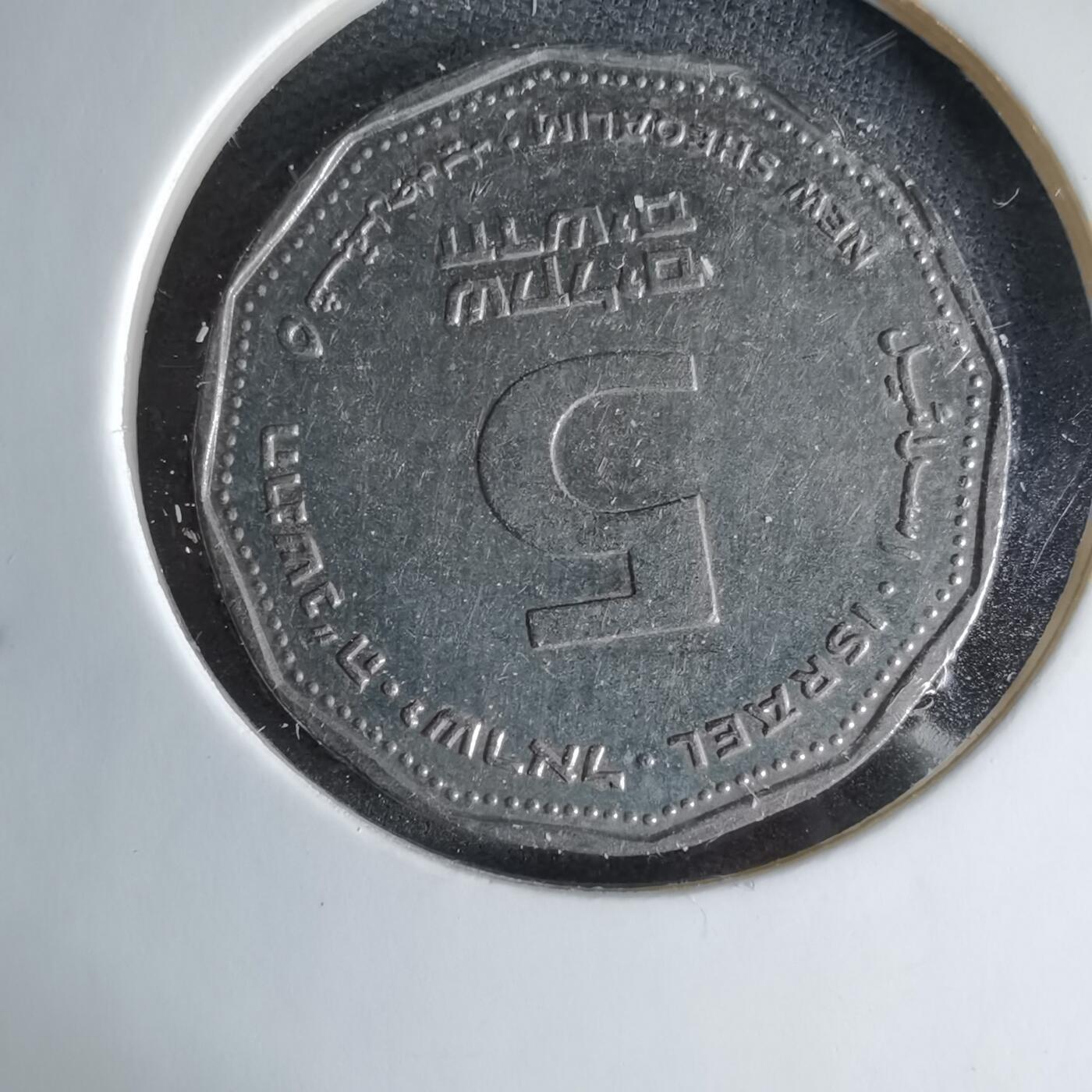 沼泽如烟--第1041场