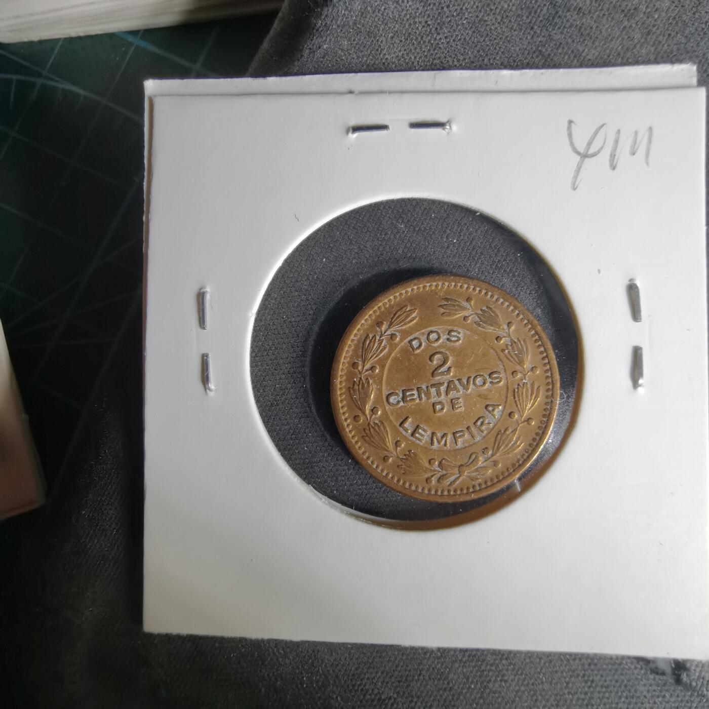 沼泽如烟--第1041场