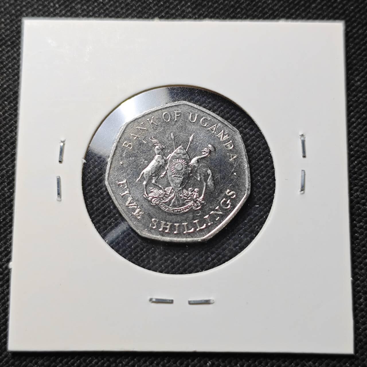 KK钱币收藏小铺  第415期 2月预留时间 周末发货