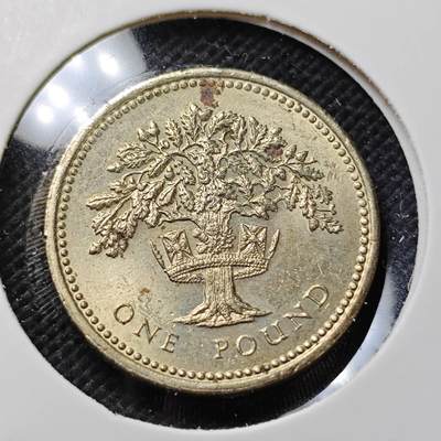 KK钱币收藏小铺  第415期 2月预留时间 周末发货 1987英国1镑 