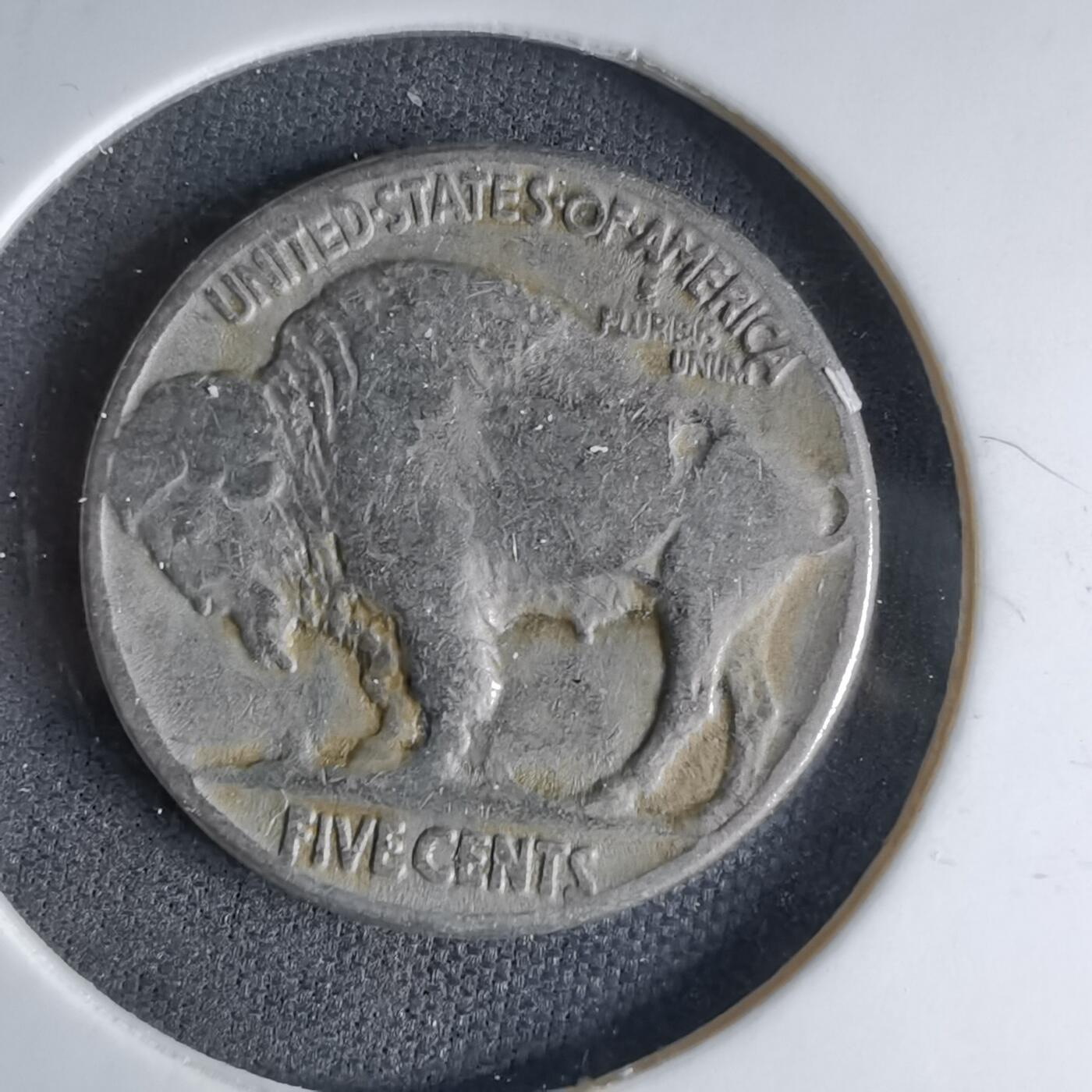 沼泽如烟--第1041场 美国1935年野牛五分