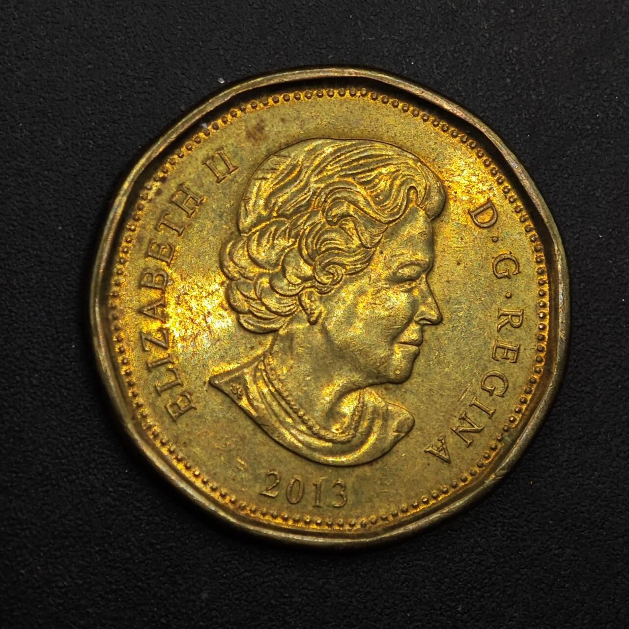  【淘币小摊】限时拍第八百八十九拍   散币套币纸币邮品场    每周一统一发货 加拿大2013年潜水鸭一元铜币