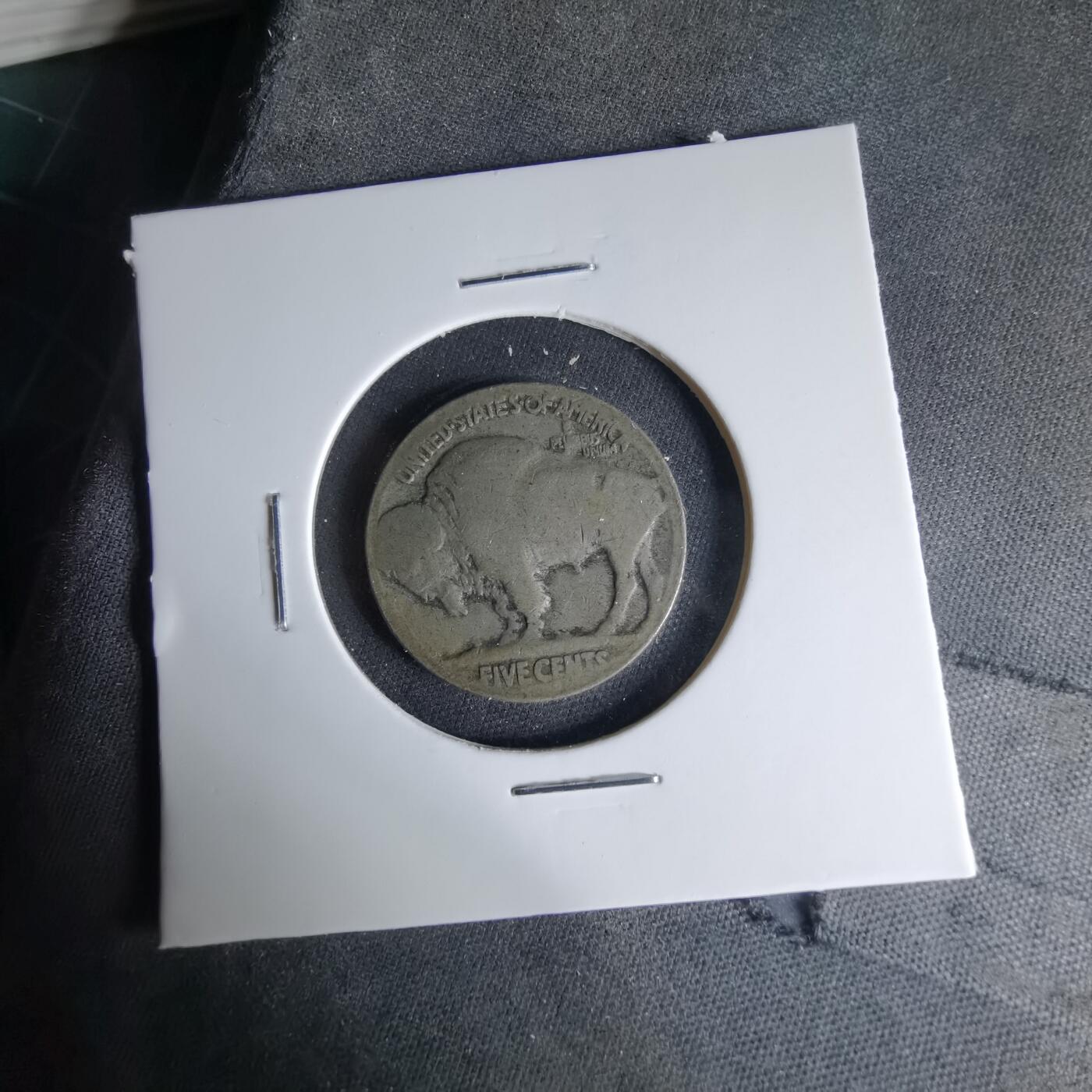 沼泽如烟--第1041场 美国野牛五分