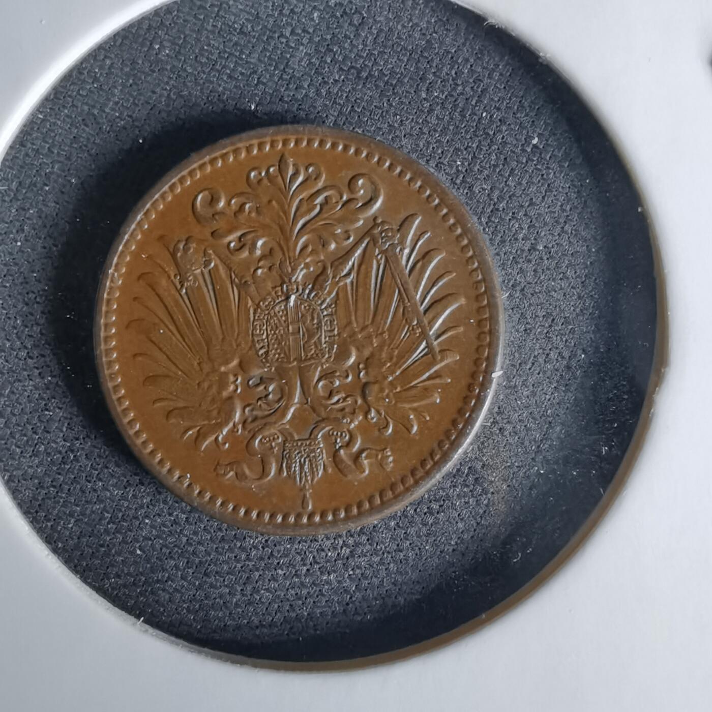 沼泽如烟--第1041场