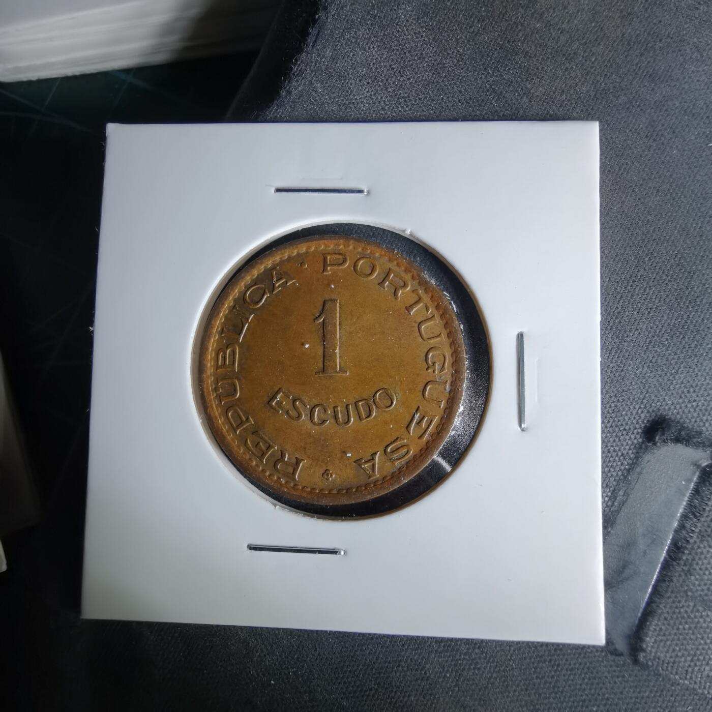 沼泽如烟--第1041场