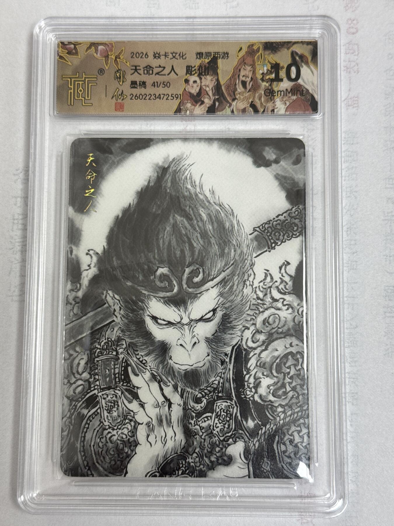 大麦马年第一场