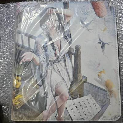 龙虎卡牌-八一场（满200元包邮，无佣金，每周六结拍，欢迎送拍） - 【卡册】焱卡文化 人间传主题九宫拉链卡册 (无卡页)