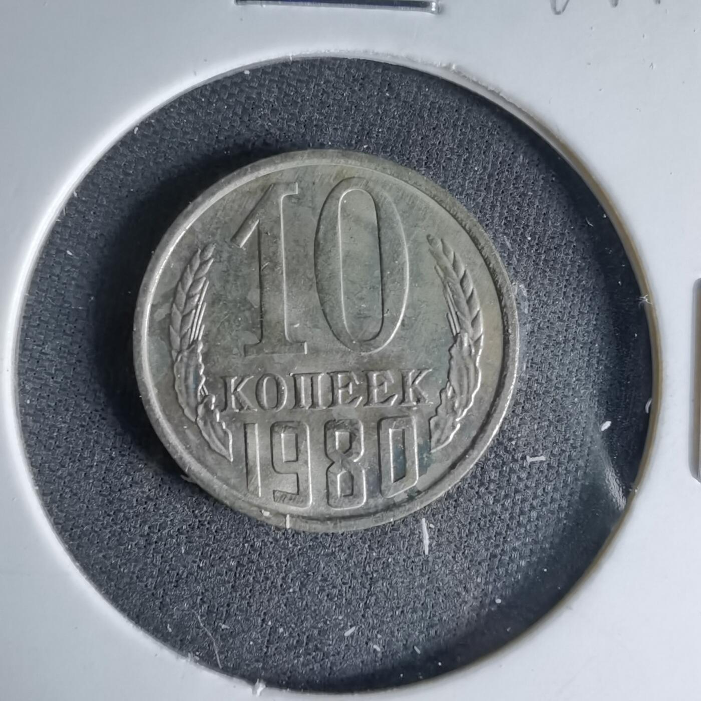 沼泽如烟--第1041场