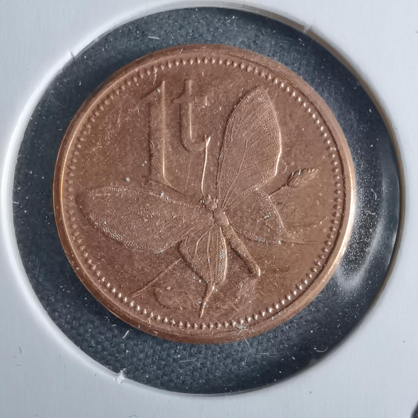 沼泽如烟--第1040场