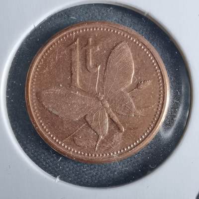 沼泽如烟--第1040场 - 巴布亚新几内亚2004年1托伊