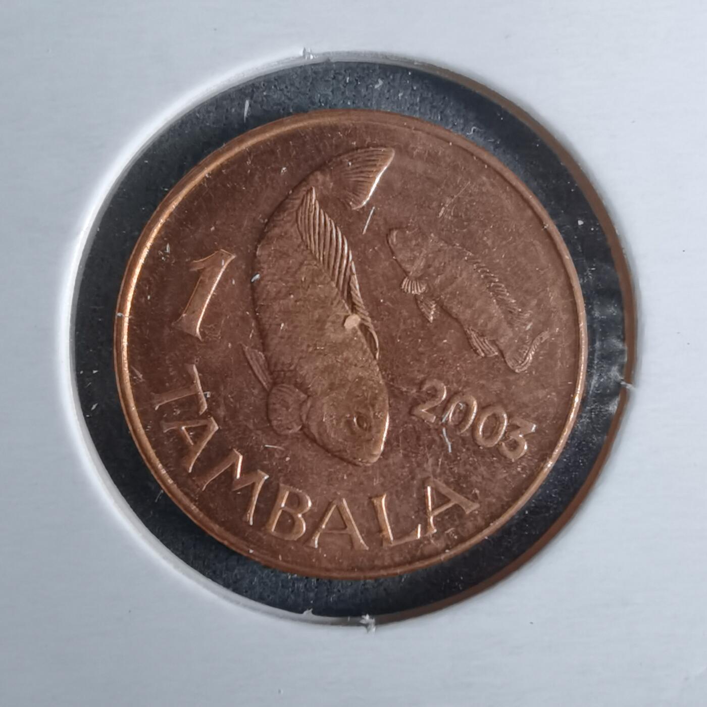 沼泽如烟--第1040场 马拉维2003年1坦巴拉