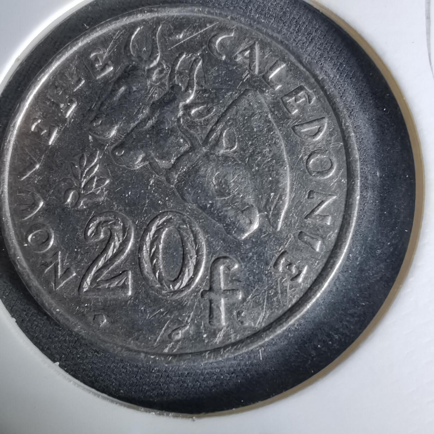 沼泽如烟--第1041场