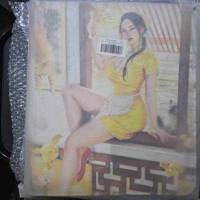 龙虎卡牌-八一场（满200元包邮，无佣金，每周六结拍，欢迎送拍） - 【卡册】焱卡文化 人间传主题九宫拉链卡册 (无卡页)