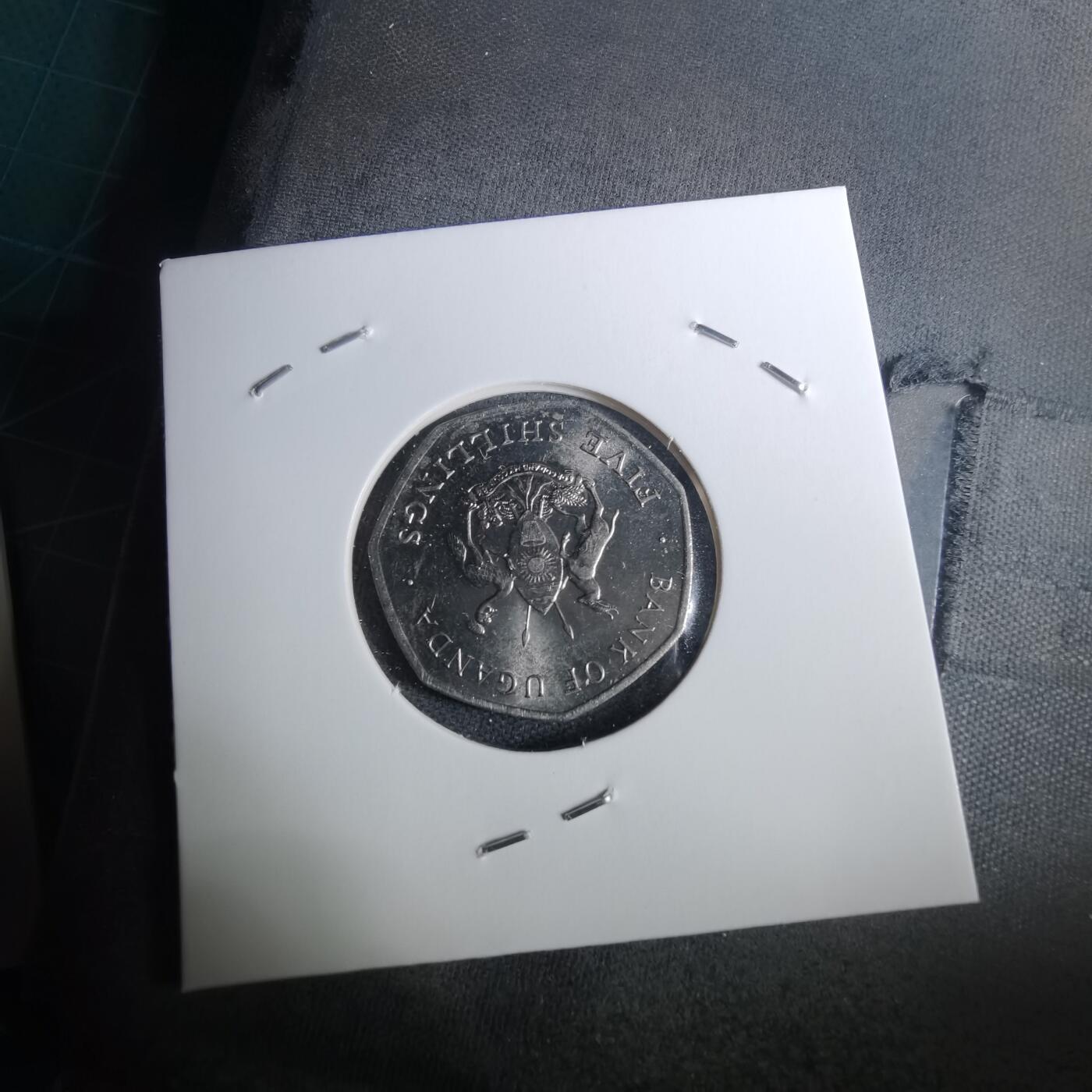 沼泽如烟--第1040场