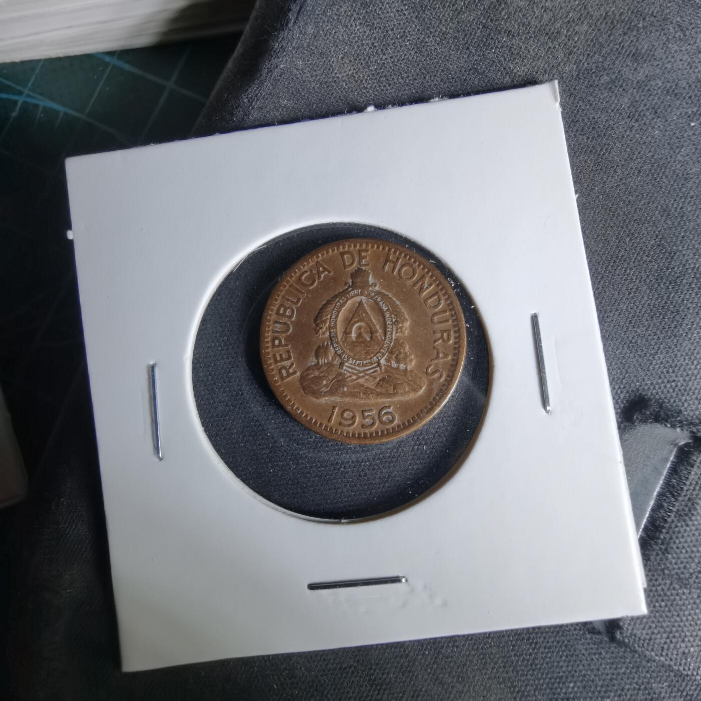 沼泽如烟--第1041场