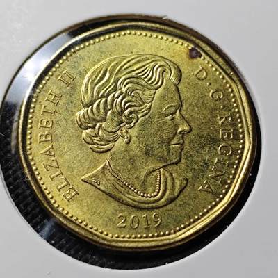 KK钱币收藏小铺  第417期 2月预留时间 周末发货 2019加拿大1元 