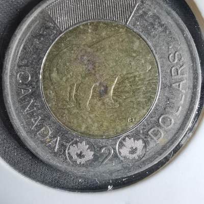 沼泽如烟--第1041场 - 加拿大2012年二元