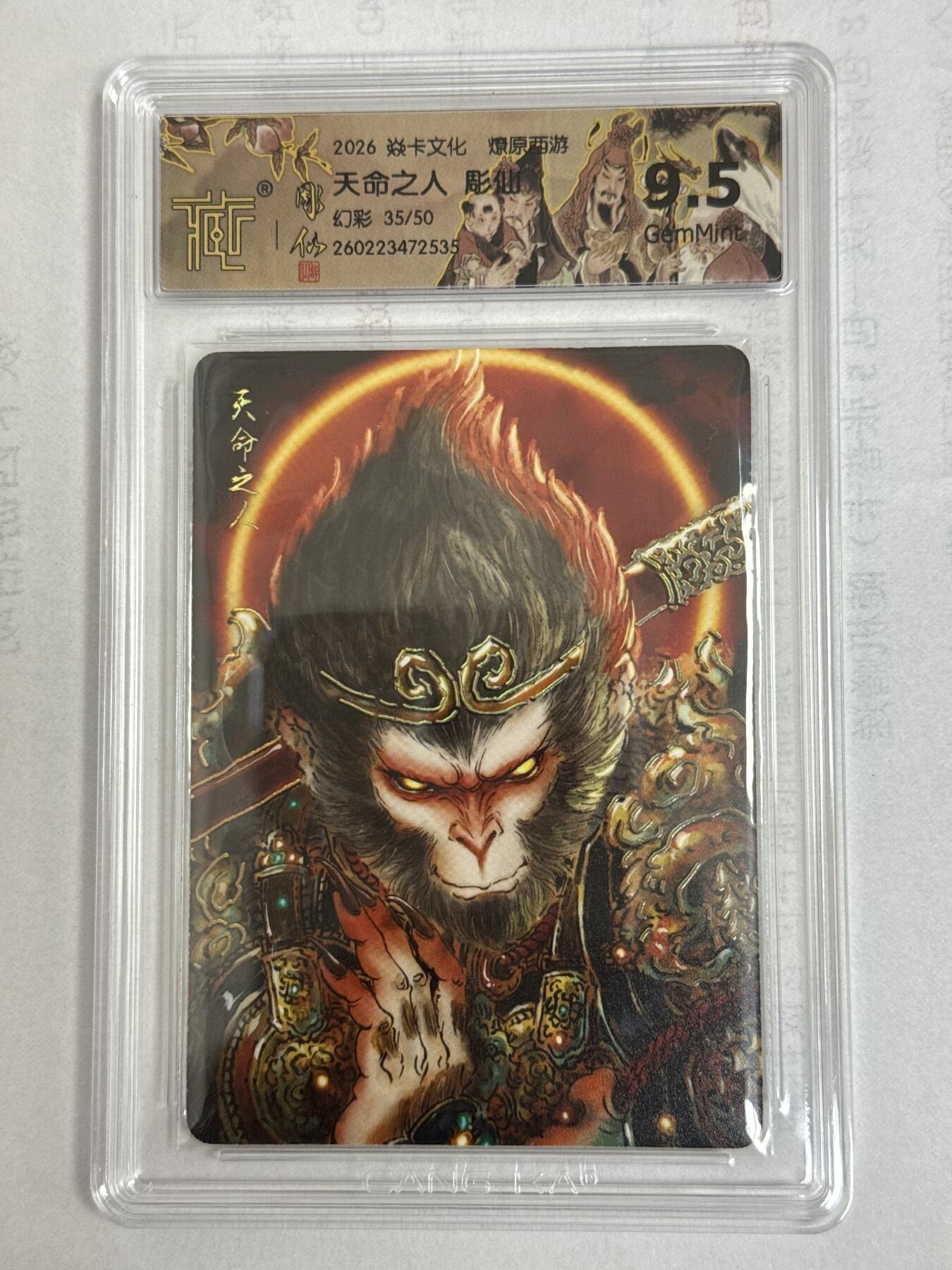 大麦马年第一场