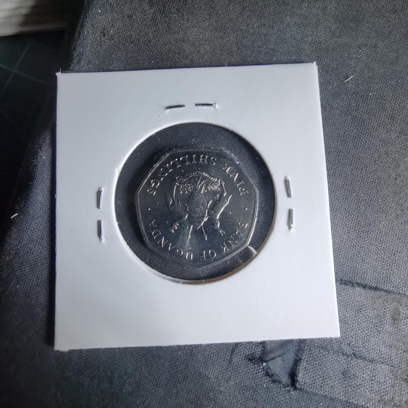 沼泽如烟--第1041场