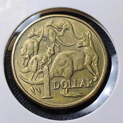 KK钱币收藏小铺  第415期 2月预留时间 周末发货 1984澳大利亚1元