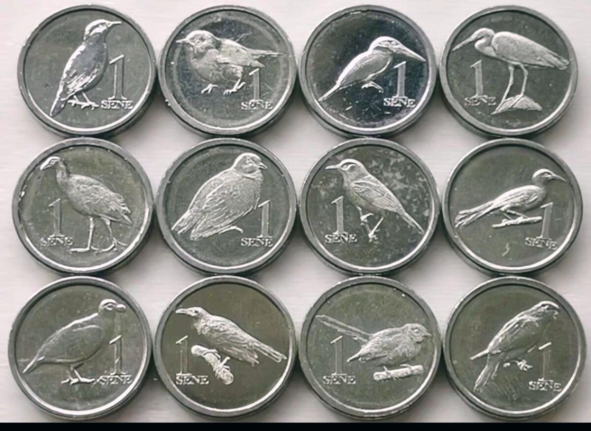 ❤️【币观天下】❤️ 第347期钱币拍卖场- 2026.4.3周五晚上6点半场 长期征集拍品  萨摩亚2020年鸟类1生丁纪念币12枚一套