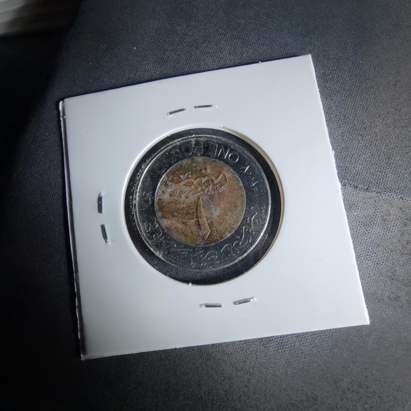 沼泽如烟--第1041场 埃及