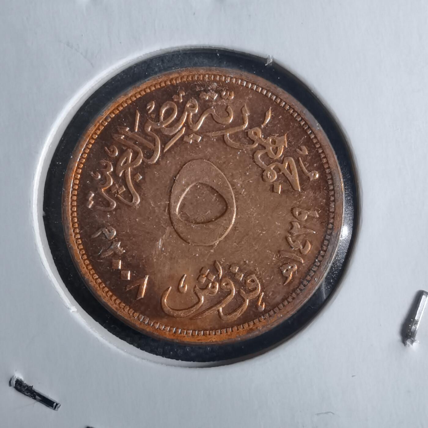 沼泽如烟--第1040场 埃及