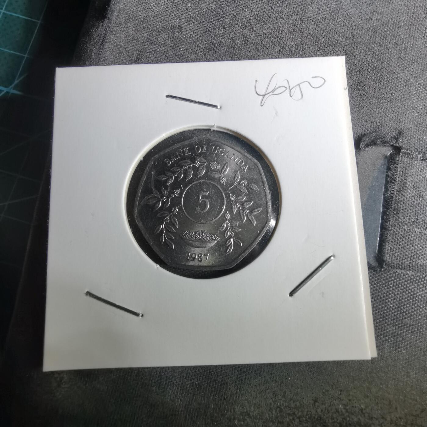 沼泽如烟--第1040场