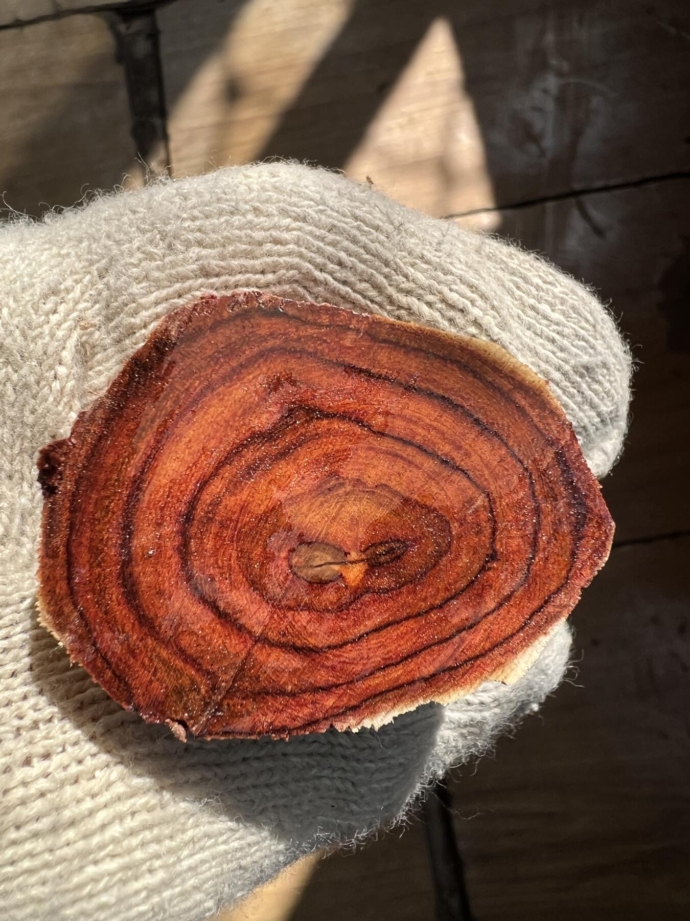 零元拍：  海南黄花梨。尺寸约148/46MM