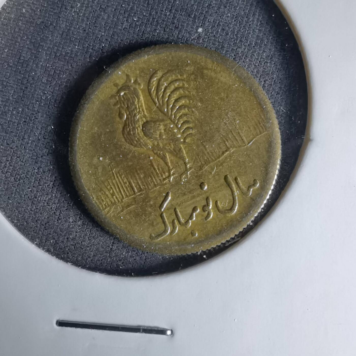 沼泽如烟--第1041场