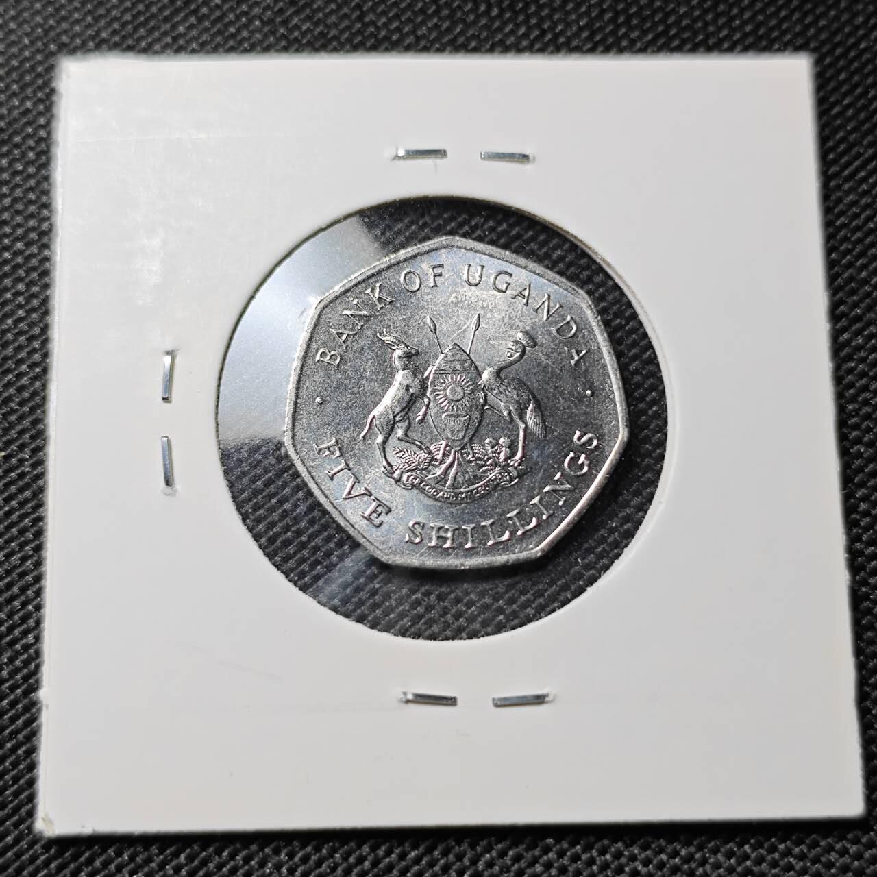 KK钱币收藏小铺  第417期 2月预留时间 周末发货