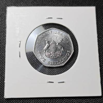 KK钱币收藏小铺  第417期 2月预留时间 周末发货 1987乌干达5分