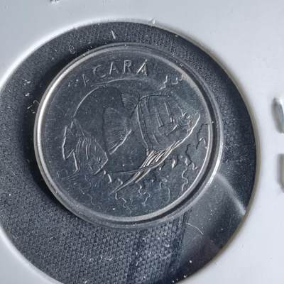 沼泽如烟--第1041场 - 巴西1993年1000克鲁塞罗