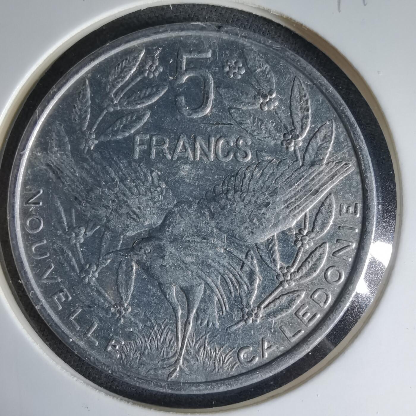 沼泽如烟--第1041场